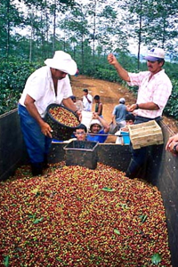 image_3.jpg [jpg]
